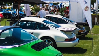 Vista cercana de varios Porsches clásicos en un evento al aire libre, incluyendo un 911 blanco y un modelo verde.