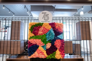 Porsche 75 Years Anniversary Celebration at Porsche Centre Downtown Toronto