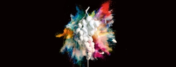 Porsche Living Colour