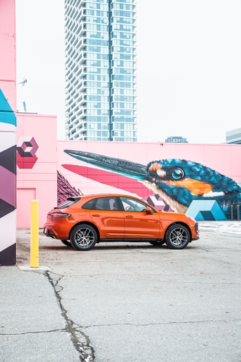 Pfaff Porsche