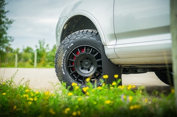 Milestone 3: Design & Customization Pic 1