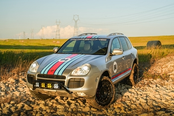 Milestone 5: Into the Wild 1