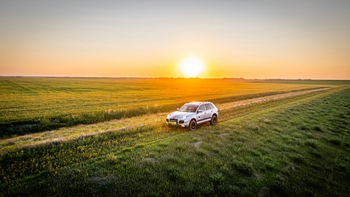 Milestone 5: Into the Wild 2