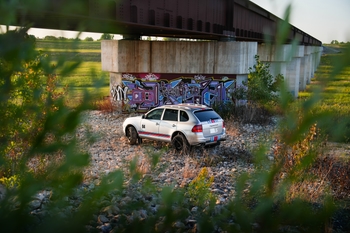 Milestone 5: Into the Wild 3