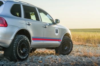 Milestone 5: Into the Wild 4