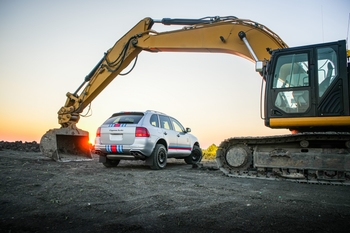 Milestone 5: Into the Wild 5