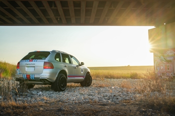 Milestone 5: Into the Wild 6