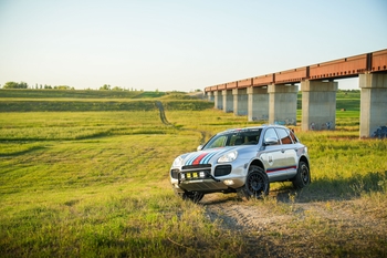 Milestone 5: Into the Wild 7