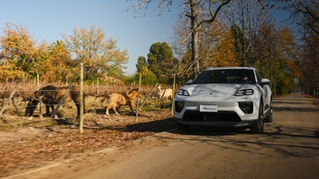 Porsche-Corredor-Verde