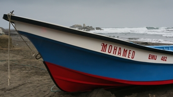 Porsche-Corredor-Verde