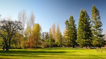 Porsche-Corredor-Verde