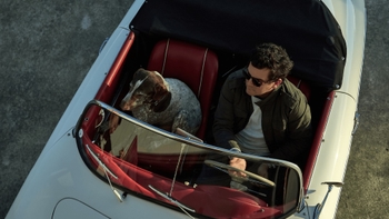Una vista aérea de un hombre con gafas de sol y una chaqueta conduciendo un Porsche 356 convertible de color blanco. En el asiento del pasajero delantero se encuentra un perro de raza Pointer Alemán de pelo corto, con manchas marrones y blancas. El interior del coche presenta una tapicería de cuero de color rojo vibrante.