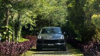 Grey car in a field of flowers