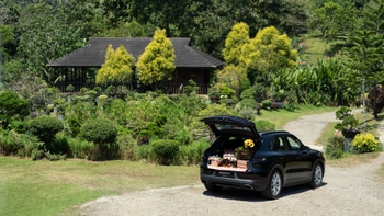 Black SUV with trunk open with a picnic display in a nature setting