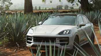 Porsche Cayenne gris en la naturaleza