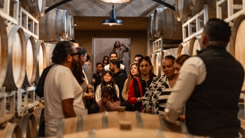 Grupo de personas escuchando una explicación durante una visita guiada en una bodega, rodeados de barricas de vino.