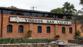 Fachada de ladrillo de Viñedos San Lucas con el letrero visible, rodeado de vegetación y detalles arquitectónicos.