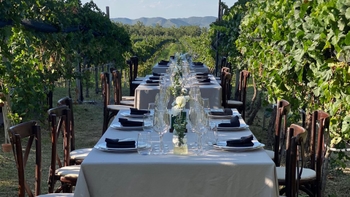 Porsche Cena entre Vides 2024