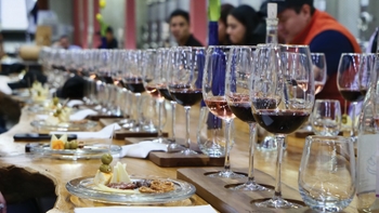 Nota Road Tour Febrero Gallery 6