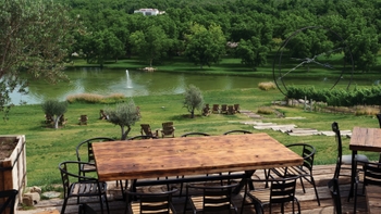 Tour Parvada - Porsche Center Monterrey - Gallery 3