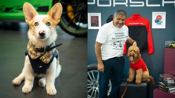 Perro y dueño posando con su perro en el evento del Día del Perro de Porsche