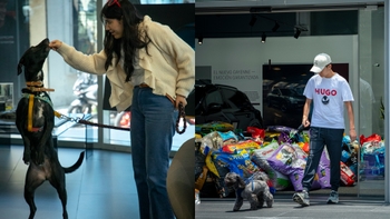 Dueños con sus perros en el evento Porsche por el Día del Perro