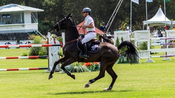 Jinete con camiseta blanca galopando con un caballo negro durante la prueba de salto