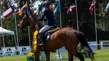 Jinete montado en un caballo marrón con una roseta amarilla, banderas nacionales al fondo en una competición de salto.
