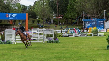 Jinete a caballo galopando en una pista de salto con obstáculos y letrero Porsche al fondo.
