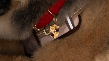 Close up pictiure to the Porsche Collar