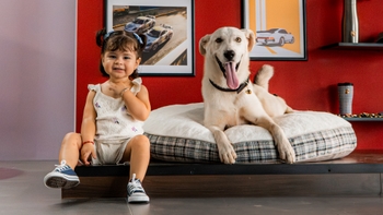 Labrador dog posing with little girl