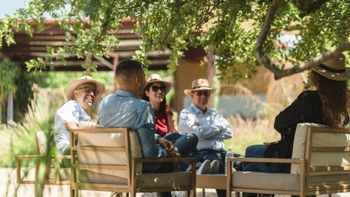 Porsche guests gathered under a tree resting and mingling
