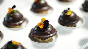 Track Experience_April 2024_22