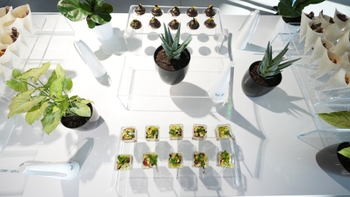 Track Experience_April 2024_25