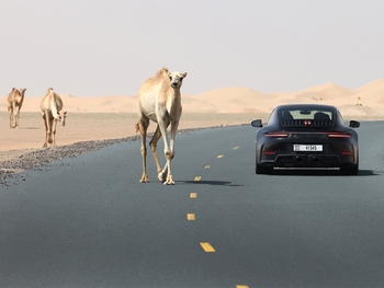 Development of the first 911 with hybrid drive completed successfully